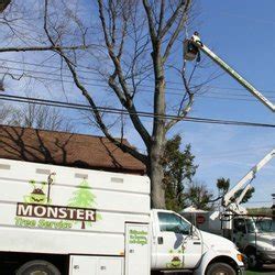 tree service peachtree city ga|monster tree service peachtree.